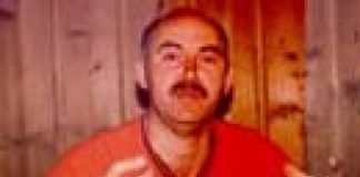 Köksüz Ağaç Devrilir