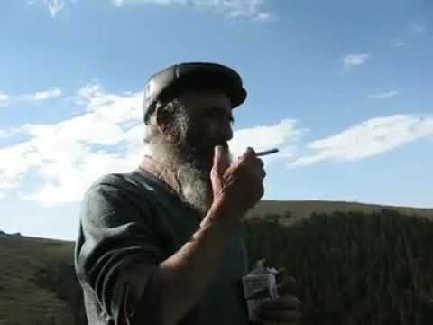 Mehmet Bayraktar Timur