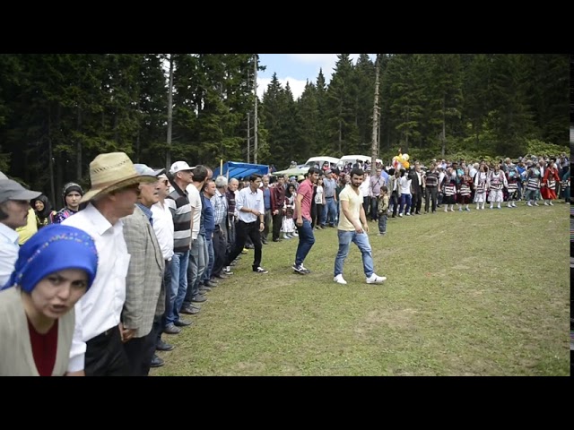 Göllüalan – 2015